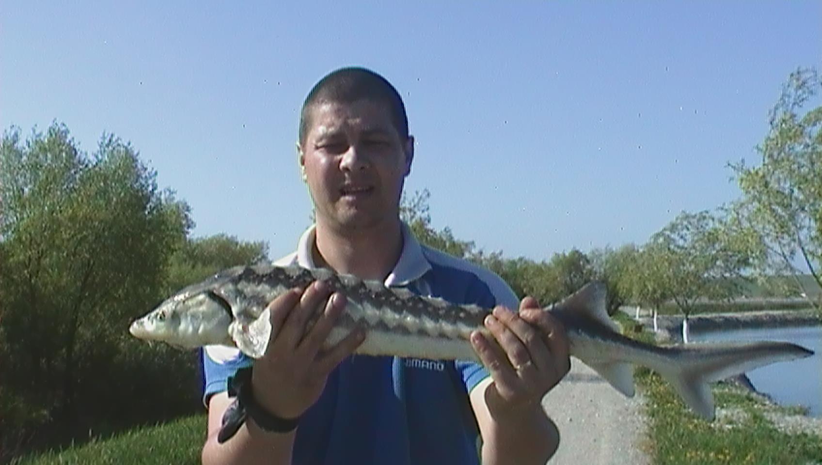 Doripesco 2013 - sam0206.JPG